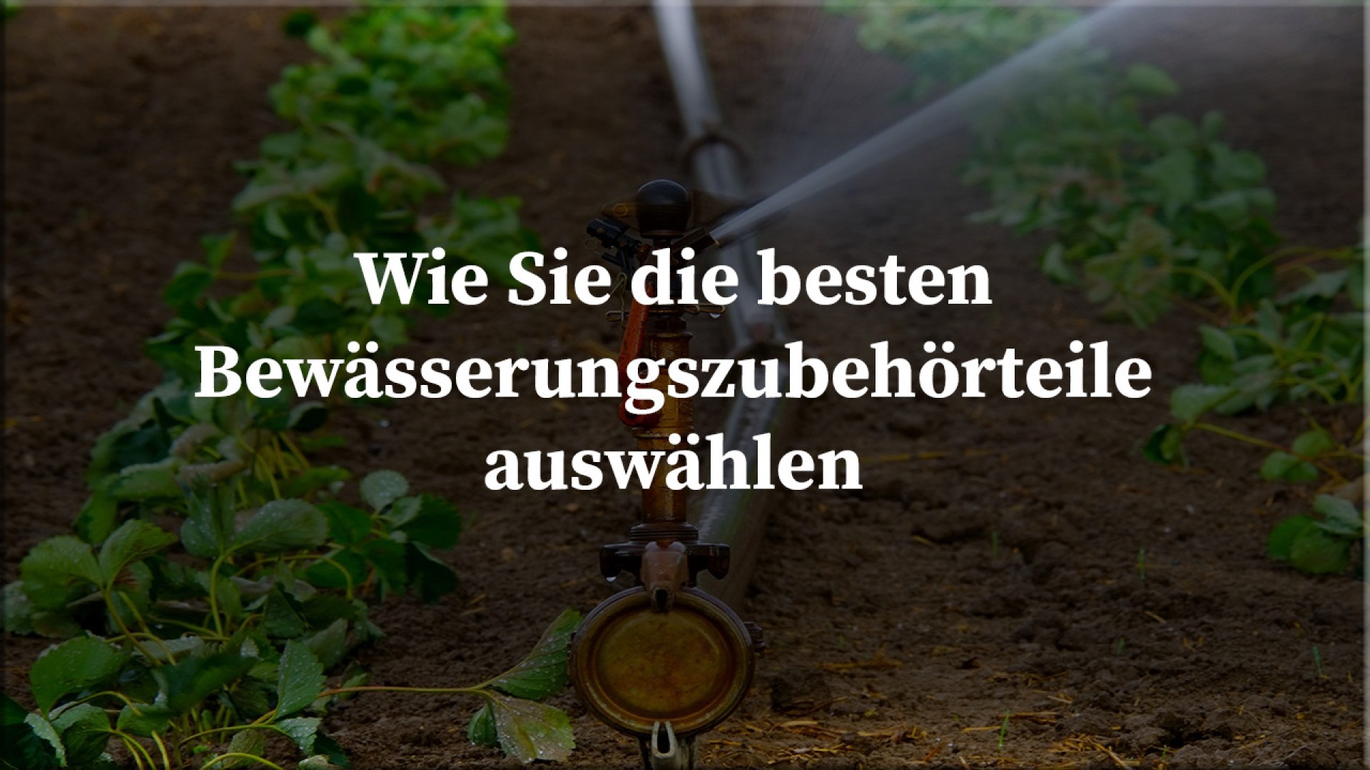 https://shop.bgatec.de/image/cache/catalog/Wie-Sie-die-besten-Bewässerungszubehörteile-auswählen-1920x1080.jpg