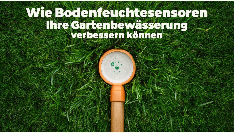 Wie Bodenfeuchtesensoren Ihre Gartenbewässerung verbessern können